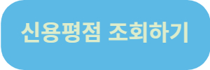 신용평점조회하기