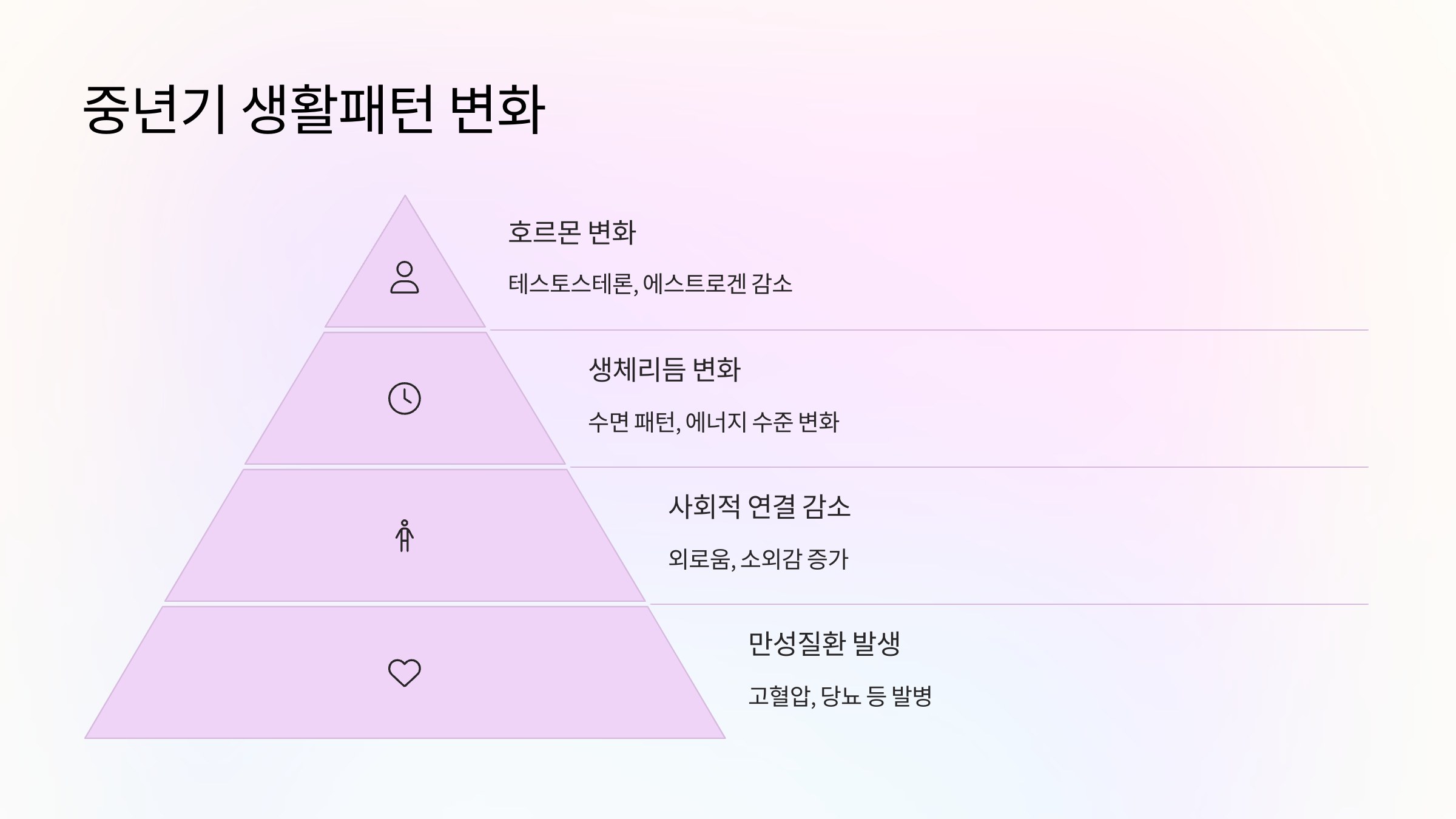 6. 중년기 생활패턴 변화 🧭