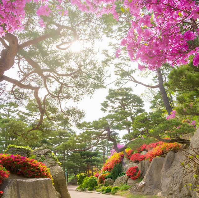 화담숲 예매 예약 입장료 후기