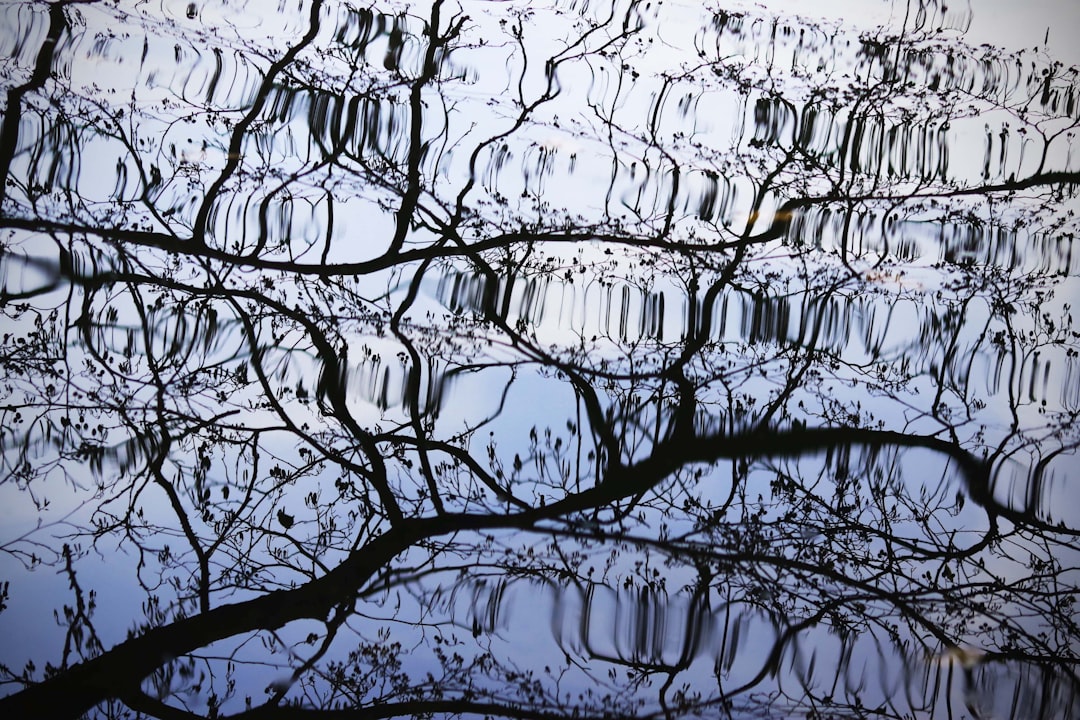 Complexity