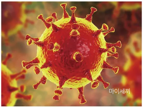 상기도 감염 원인