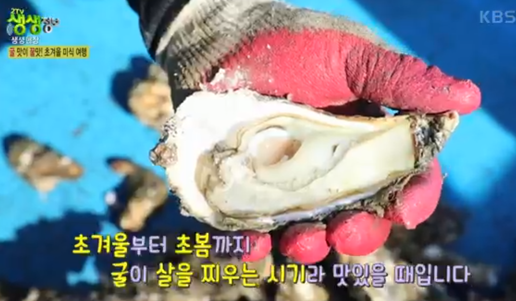 천북굴단지 정보