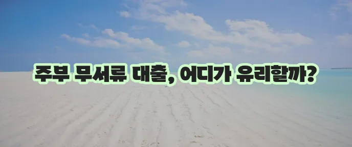 캐피탈, 저축은행에서 승인율 높은 무서류 주부 대출