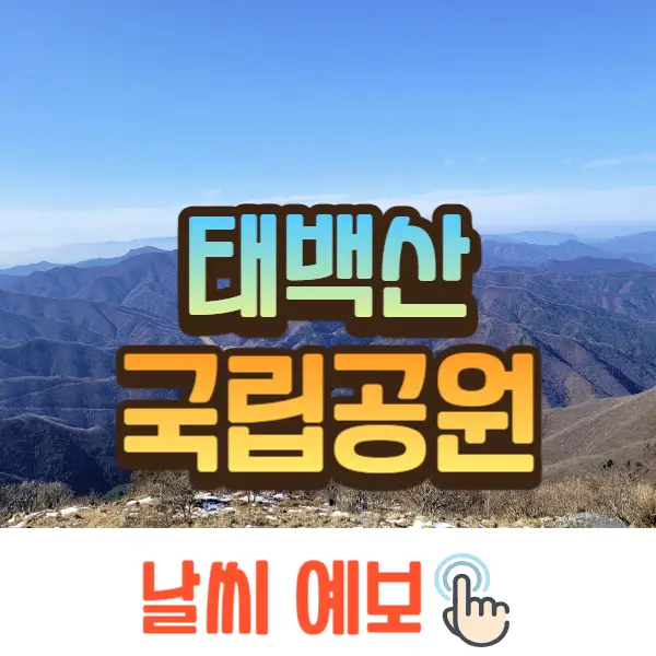 태백산 국립공원 실시간 cctv