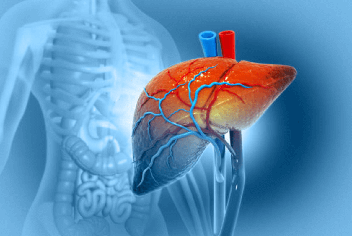 간경화 초기증상