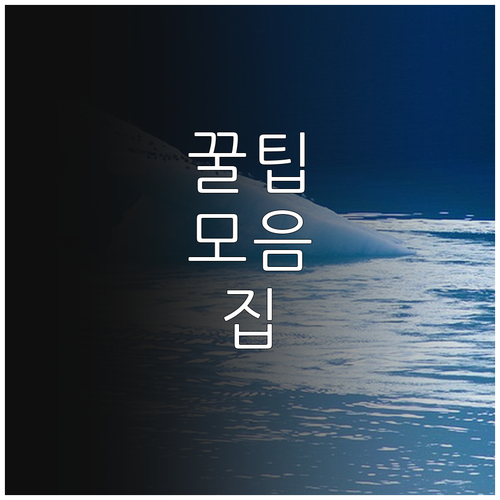 2025 수산자원보호 직불제 신청 완..