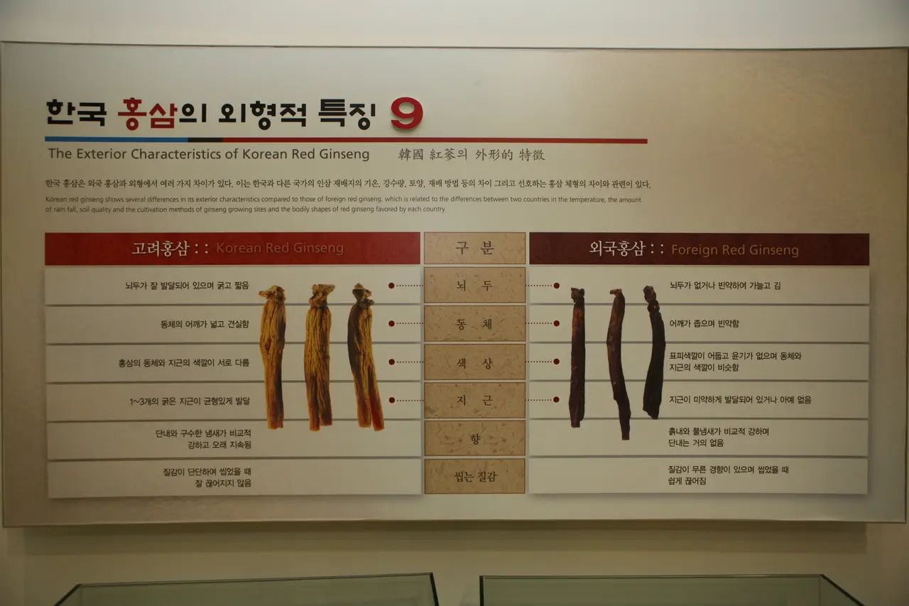 홍삼