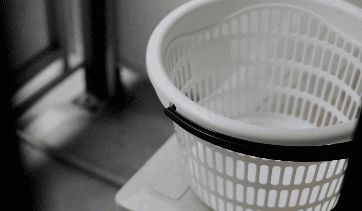 곰팡이_냄새_없애는_법_19