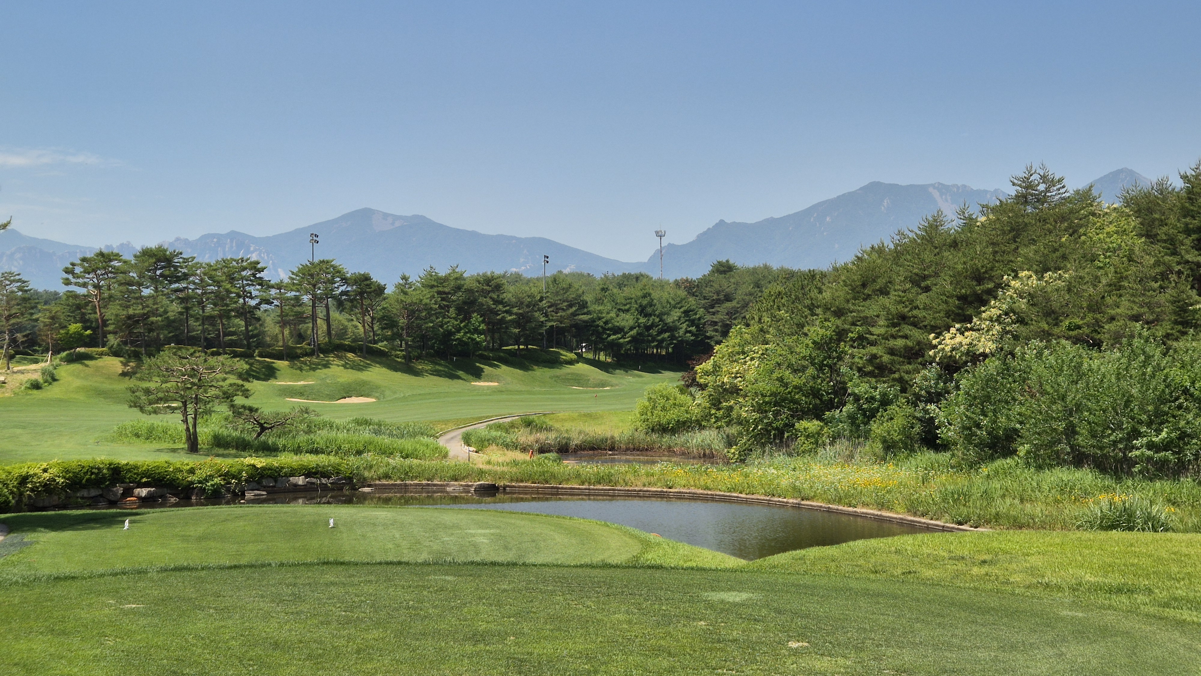 파인리즈cc 후기 및 코스사진