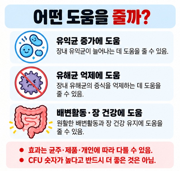 유익균 증식 유해균 억제 배변활동 원활과 장 건강 도움을 프로바이오틱스 주요 기능으로 보여주는 카드