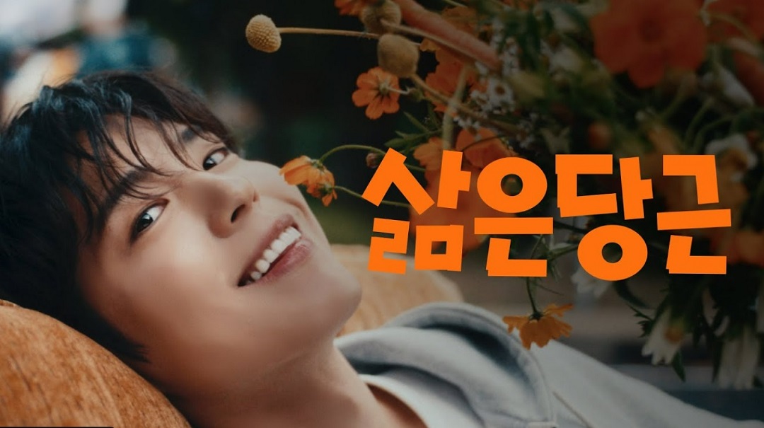 보검이네 꽃집 알바 삶은 당근 캠페인