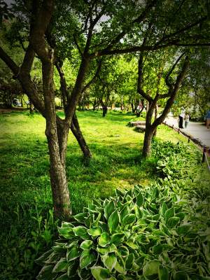 대전 한밭수목원의 봄풍경