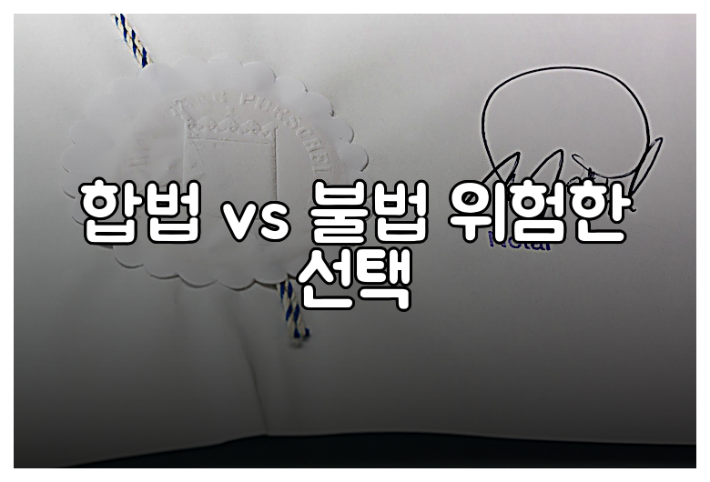 합법 vs 불법 위험한 선택