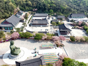 이색적인 전국 사찰여행