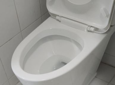 본인이 똥을 누는꿈해몽,배설의 의미