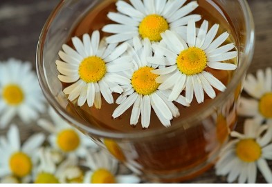 커피대신 마시면 건강한차