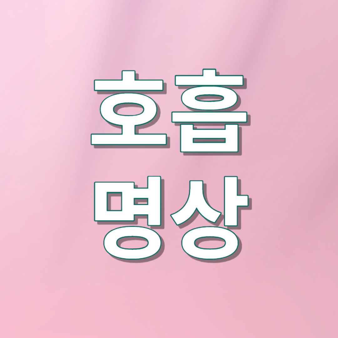 디지털디톡스 핸드폰디톡스 명상