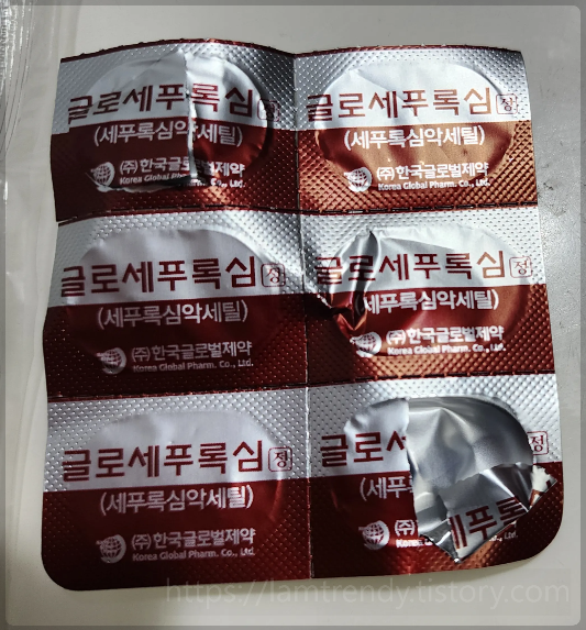 부비동염 처방 항생제