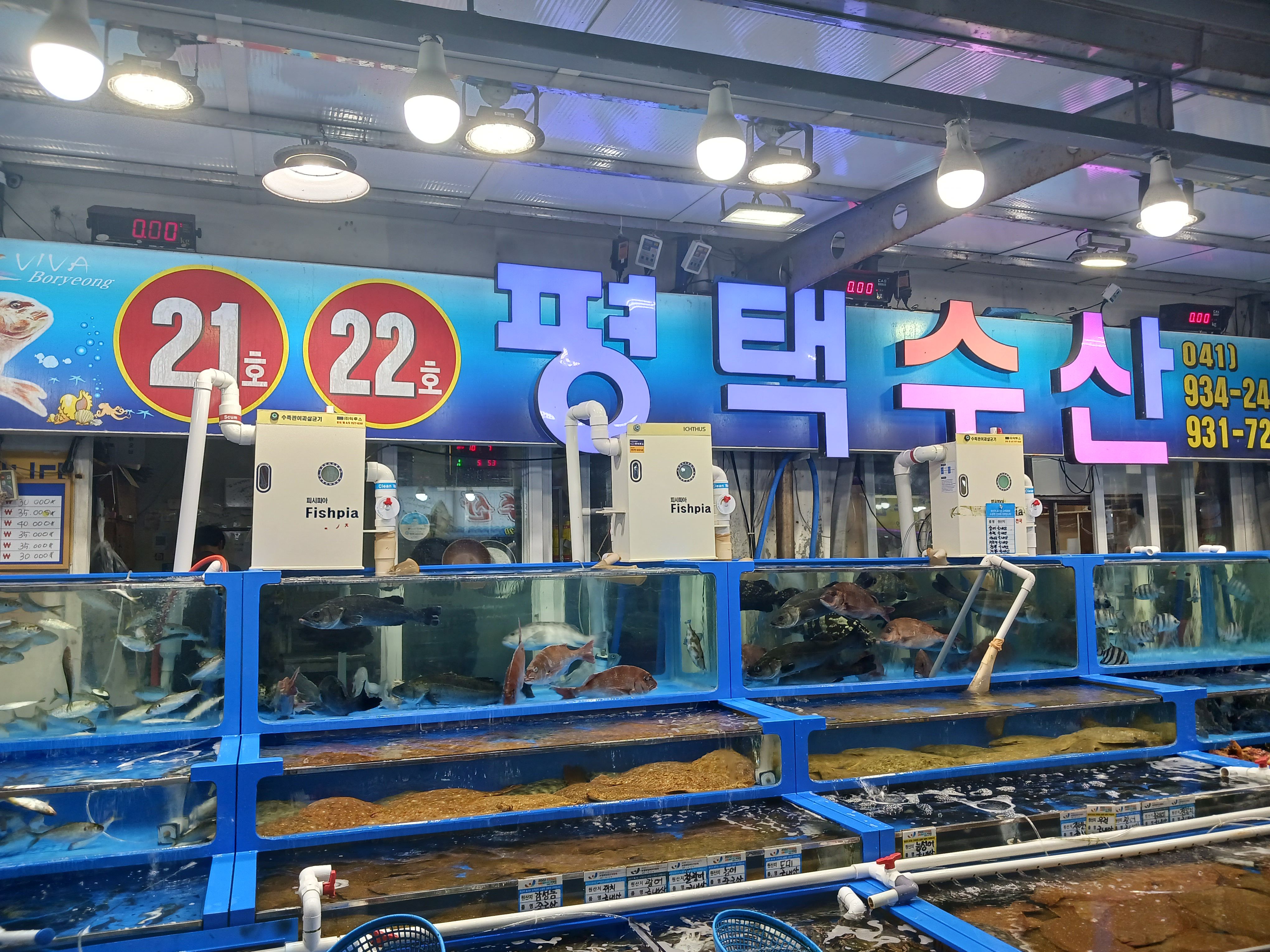 대천항수산시장