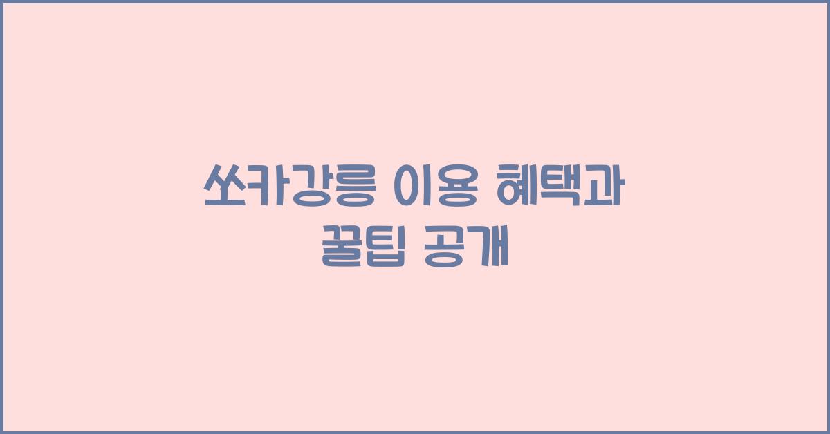 쏘카강릉