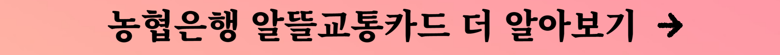 알뜰교통카드 신청 및 혜택