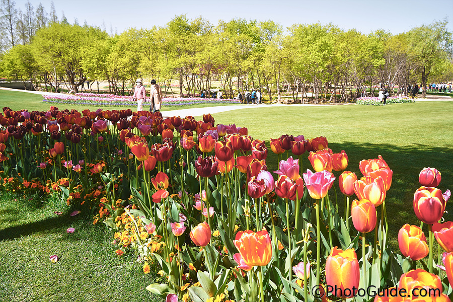 순천만국제정원박람회