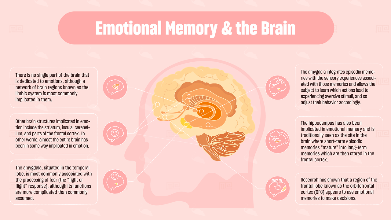 왜 감정이 기억을 더 강하게 만드는가?