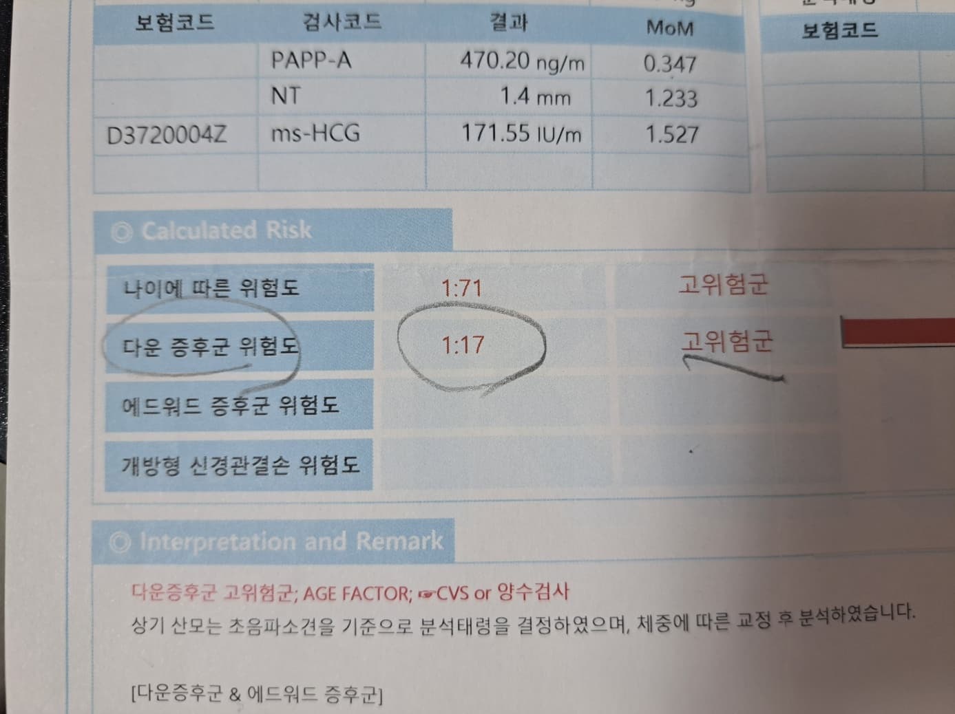눈물의 다운증후군 1:17 니프티검사 결과 찐 후기 희망편