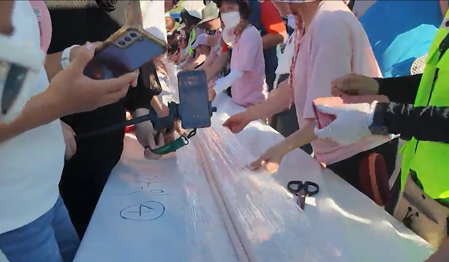 세종 조치원 복숭아축제