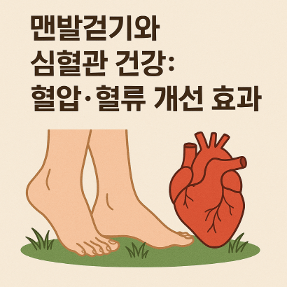 심혈관 건강을 지키는 맨발걷기 : 과학이 밝힌 혈압·혈류 개선 효과