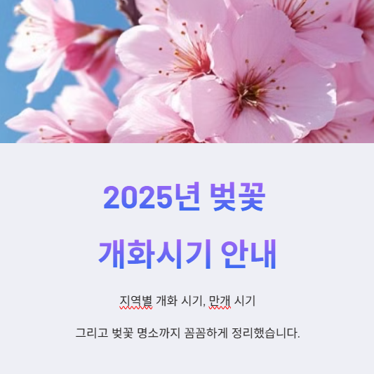 벚꽃 개화시기