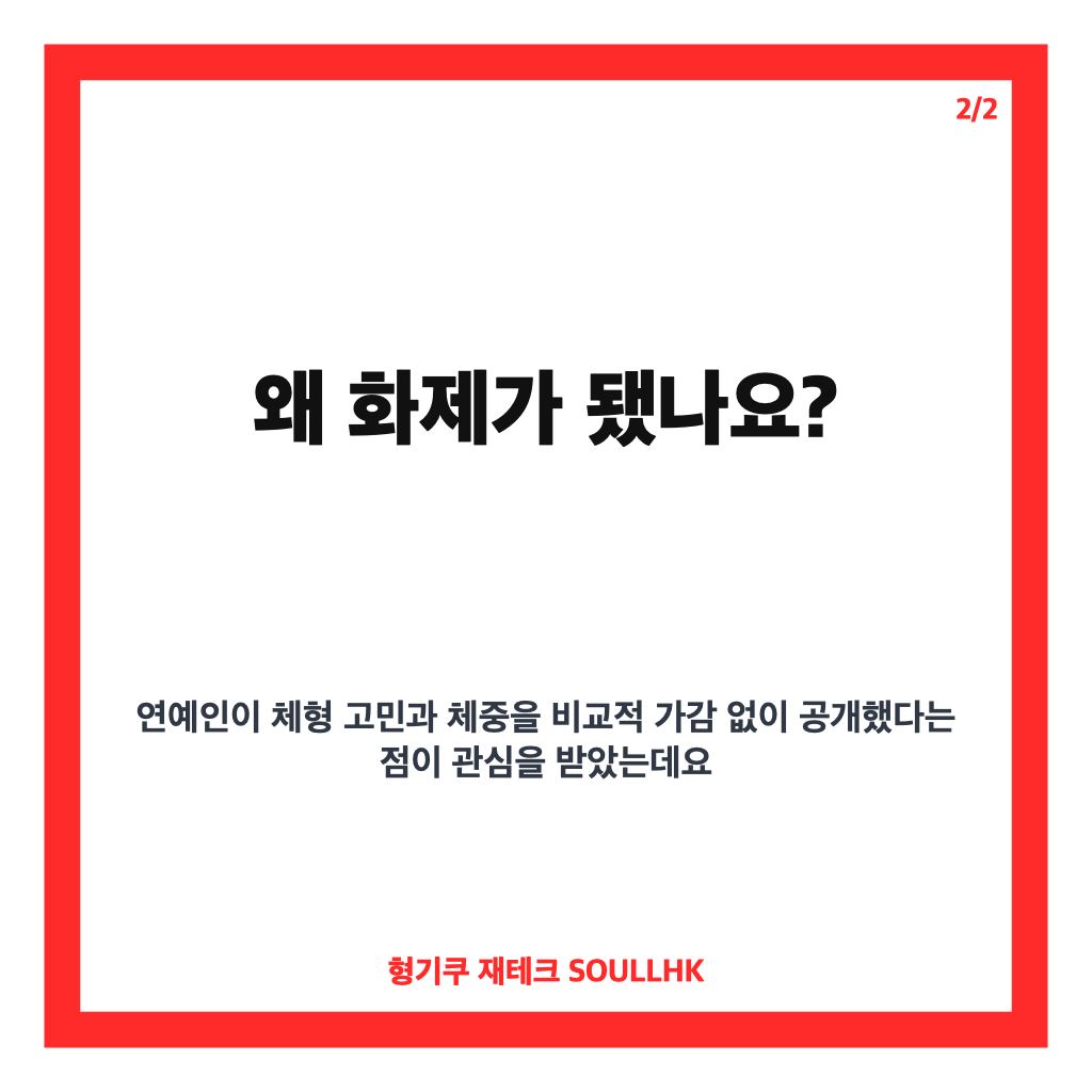 고은아 뱃살 공개, 방가네 다이어트 2주 만에 3.3kg 감량 근황 카드뉴스 3