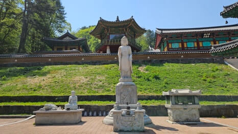 원주 구룡사 : 아홉 용의 전설과 황장목 숲길이 주는 휴식