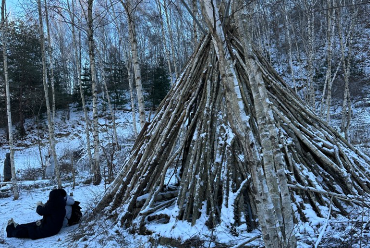 인제 자작나무숲