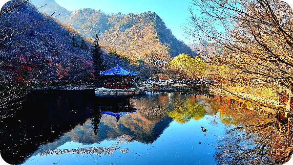내장산 우화정 이미지/ 출처: 대한민국 구석구석
