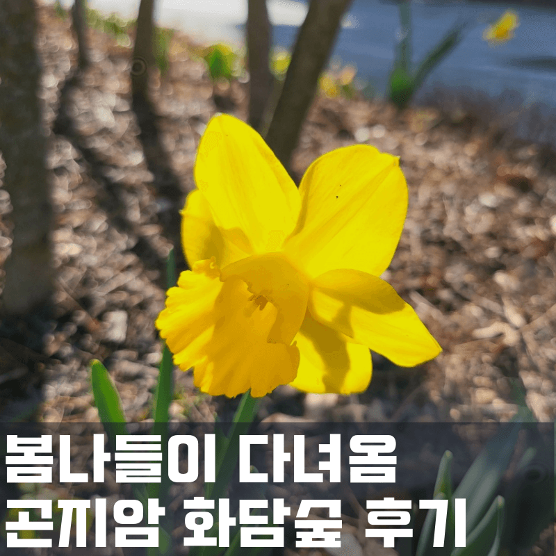 봄나들이 후기