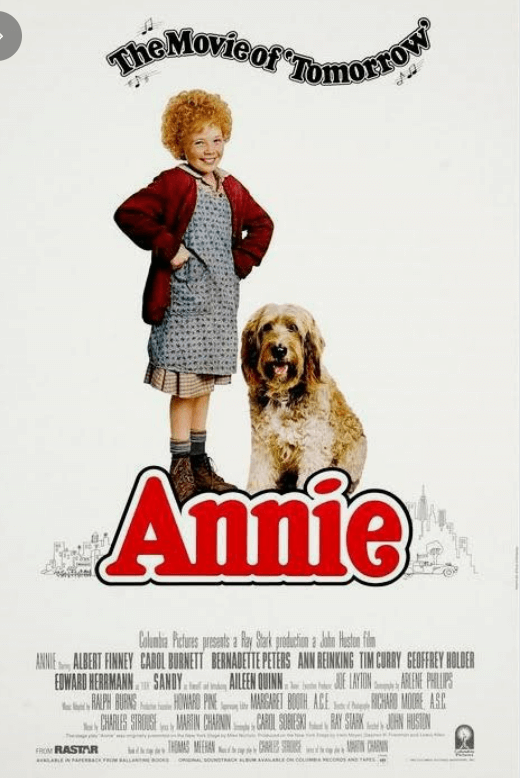 애니와 강아지의 사진