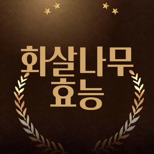 화살나무 효능