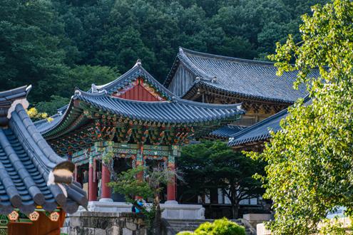 구례 화엄사 모습