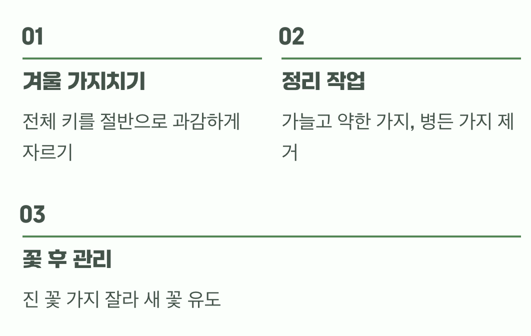 더 많은 꽃을 위한 약속, 가지치기