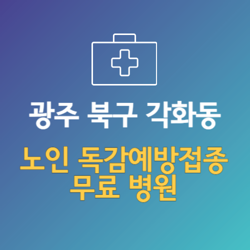 광주 북구 각화동 노인 독감예방접종 무료 병원 (인플루엔자 무료 접종 대상 날짜)