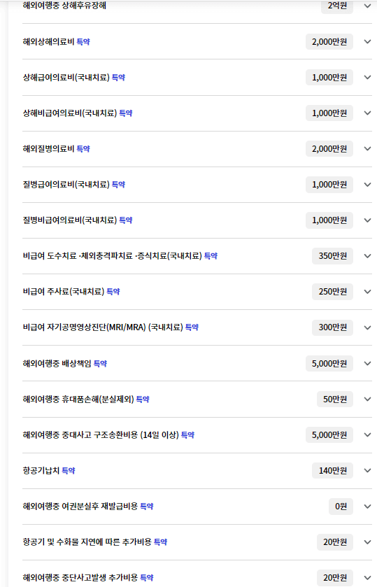 롯데손보 보장내용
