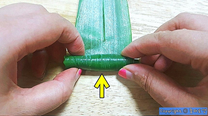 대파-돌돌-말기