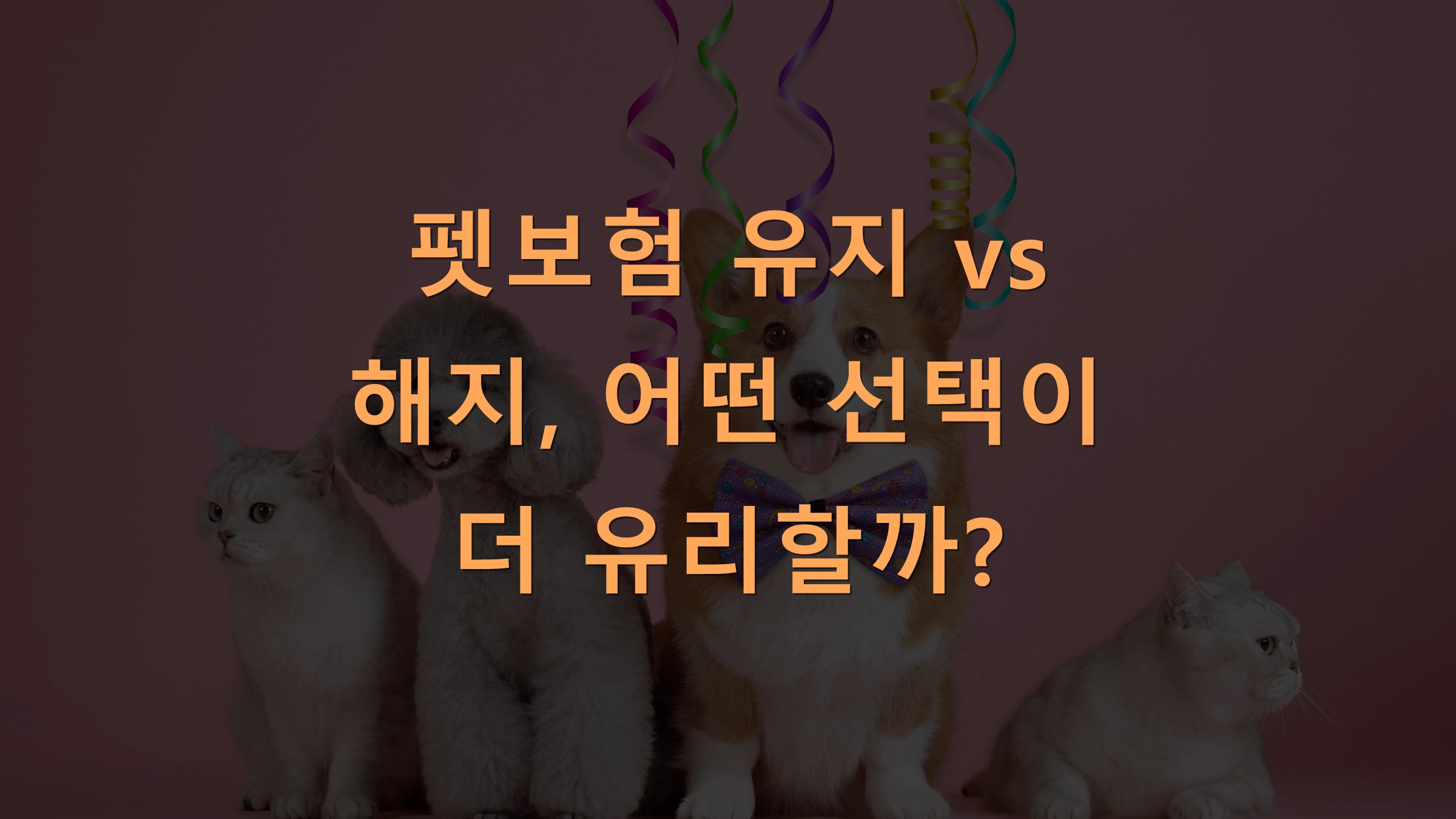 펫보험 유지 vs 해지, 어떤 선택이 더 유리할까?