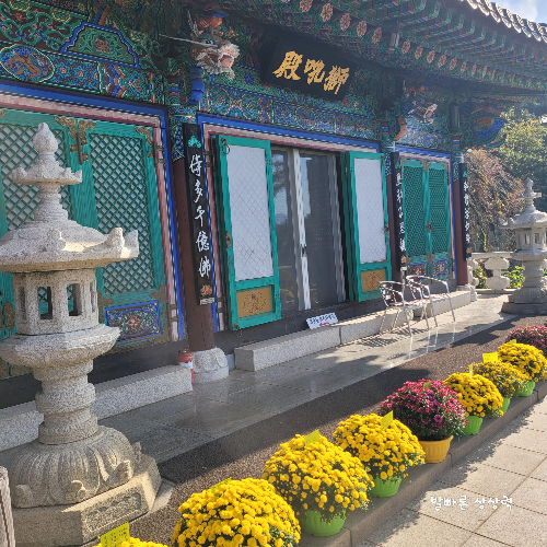 문수사-차 방