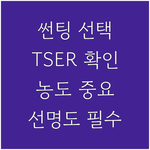썬팅 필름, TSER, 농도, 선명도..