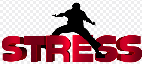 만성 스트레스가 장 건강을 망치는 이유