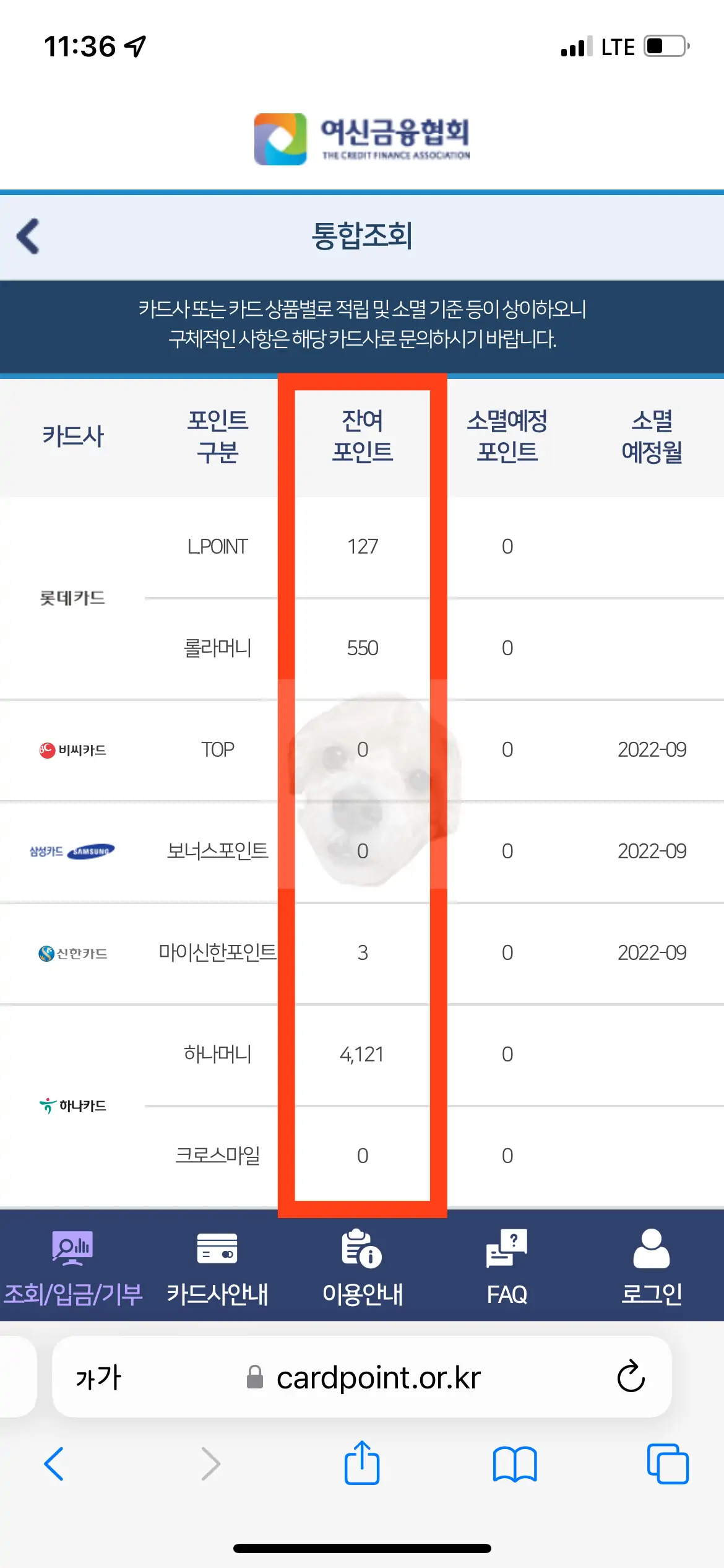카드사 포인트 조회 후 잔여 포인트 사진
