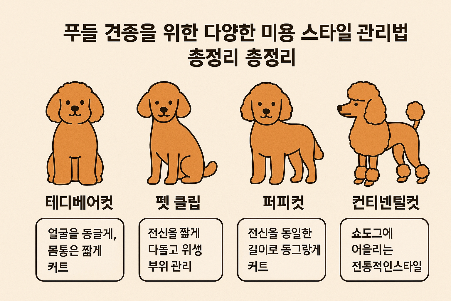 푸들견종 미용스타일 총정리 사진