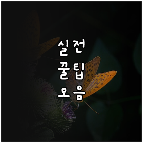 소아과 선택 고민 끝: 전문의가 알려
